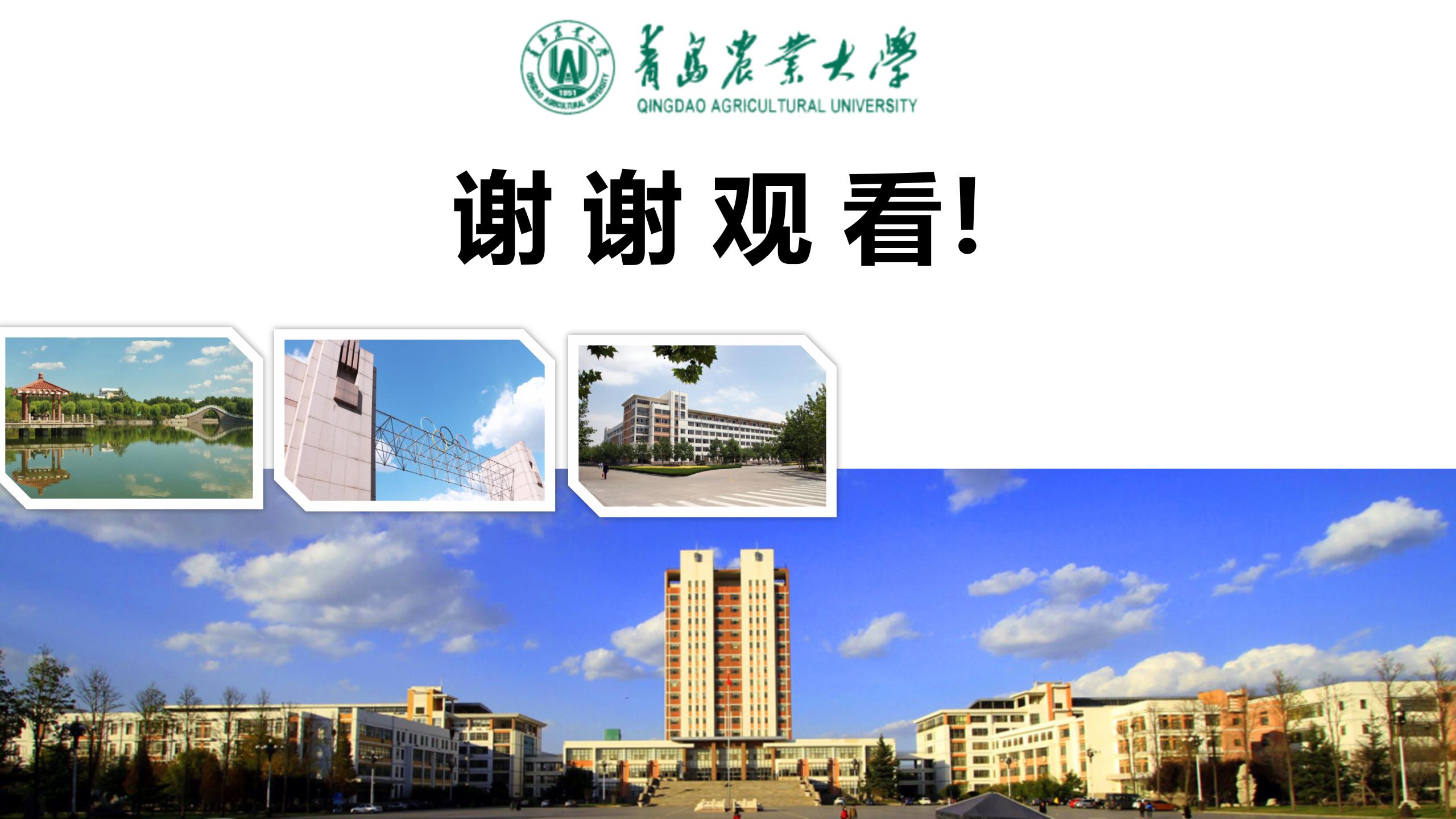 88858cc永利